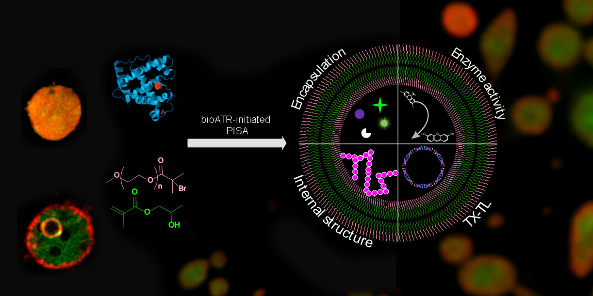 New Era in Biotech: Revolutionary Artificial Cells Could Mimic Life and ...