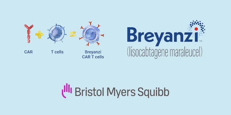 FDA Fast-Tracks Breyanzi as First CAR T Cell Therapy for Marginal Zone Lymphoma