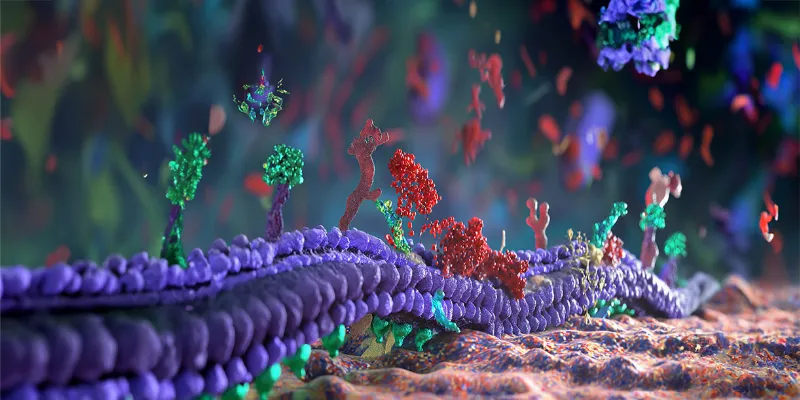 Novel Biomarker-Driven Treatments with ADCs in NSC Lung Cancer Management