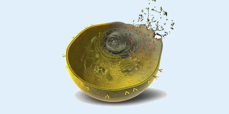 From Code to Cure: AI-Designed Proteins Arm T Cells to Precisely Target Cancer