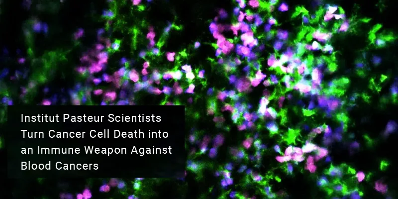 Reprogramming Cancer Cell Death: A New Immune-Based Strategy for Blood Cancers