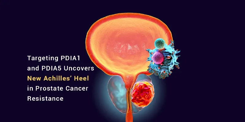 Disarming Prostate Cancer: Dual Enzyme Blockade Weakens Tumors and Boosts Drug Response