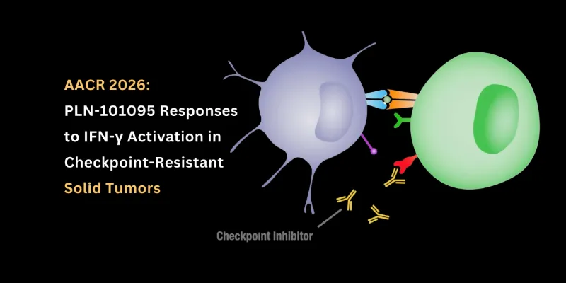 PLN-101095 Plus Pembrolizumab Shows Deep, Durable Responses in ICI-Refractory Solid Tumors