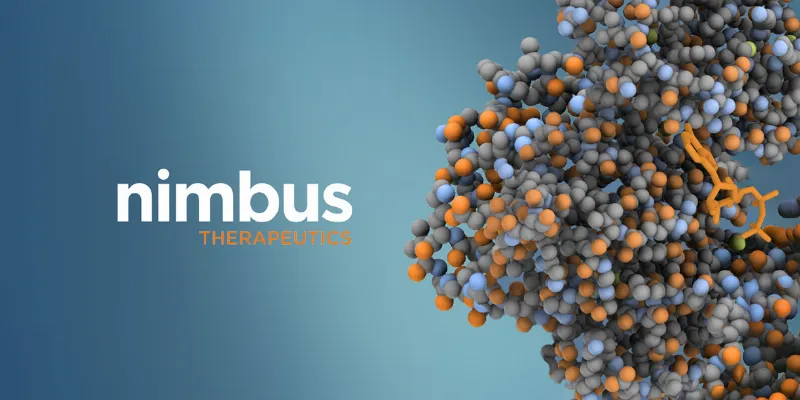 Nimbus Reports Early Success in Treating Solid Tumors with NDI-101150, an HPK1 Inhibitor