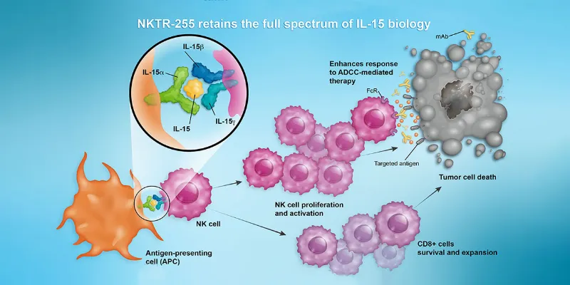 IL-15 Agonist NKTR-255 Enhances CAR-T Therapy Effectiveness in LB-Cell Lymphoma