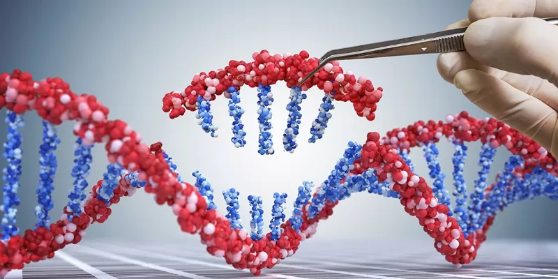 Could Utilizing DNA Repair Mechanisms Be an Option in Cancer Treatment?